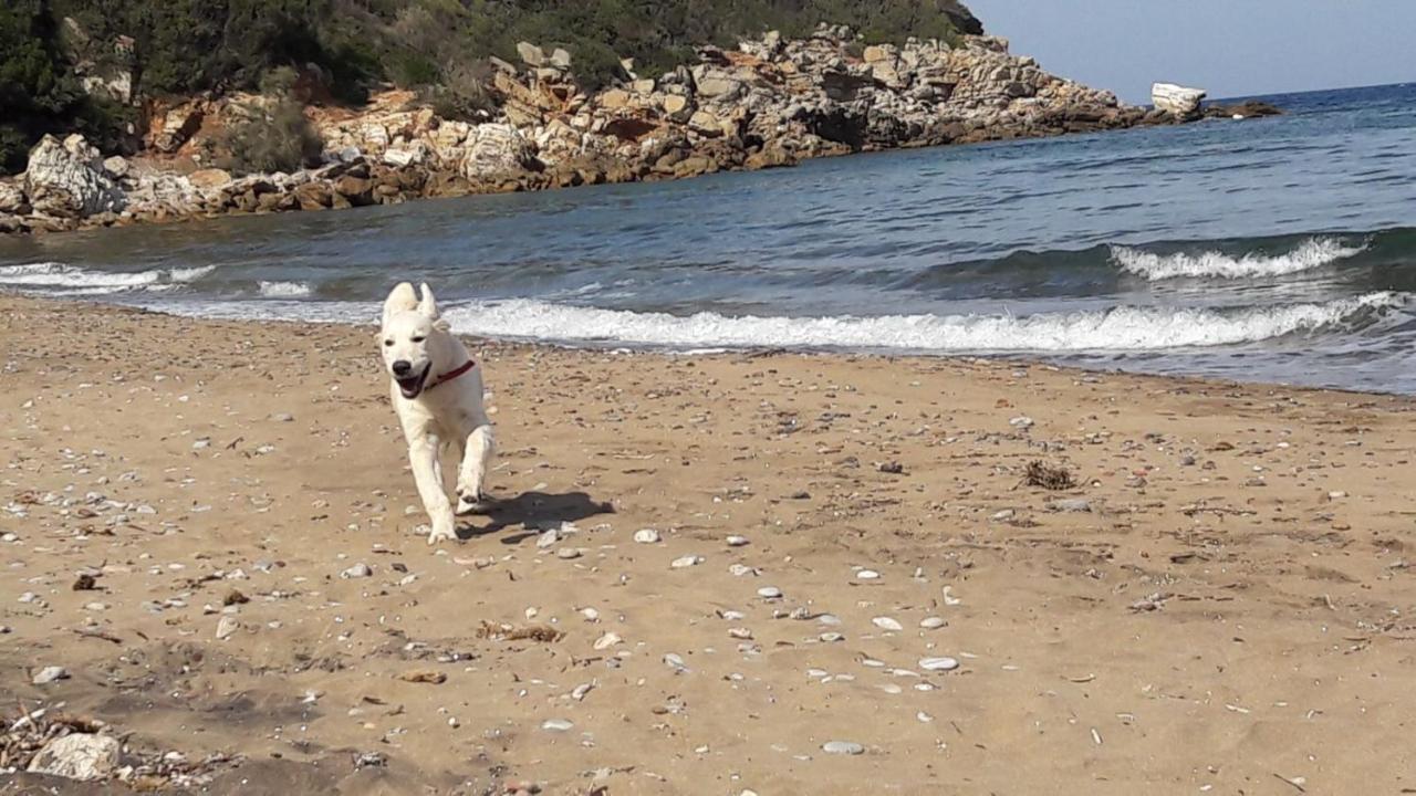 Elbadoc Camping Village Cavo Εξωτερικό φωτογραφία