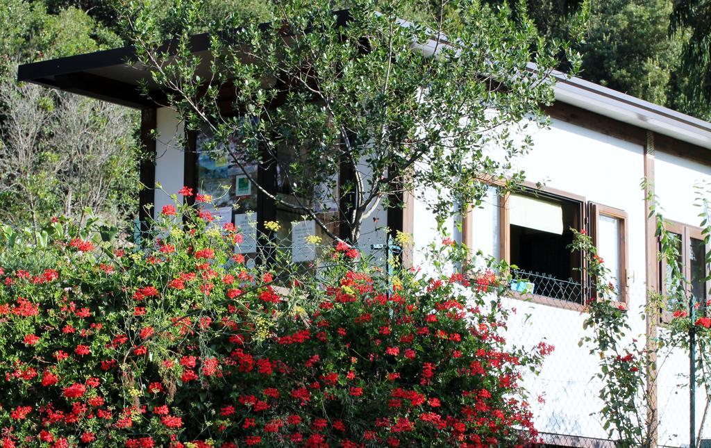 Elbadoc Camping Village Cavo Εξωτερικό φωτογραφία